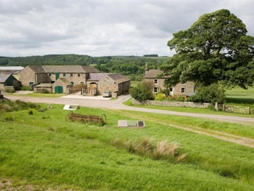 Wydon Farm Bed And Breakfast Haltwhistle Extérieur photo